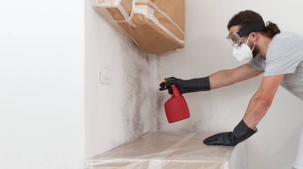 Professional Black Mold Removal technician working in Monmouth Beach, NJ