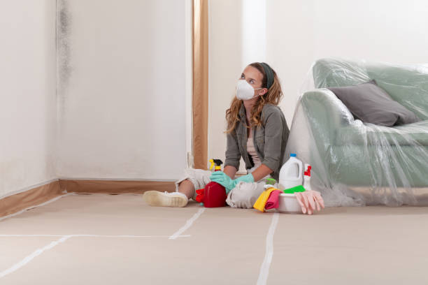 Reliable Black Mold Removal contractor in Monmouth Beach, NJ by WQB Mold Removal